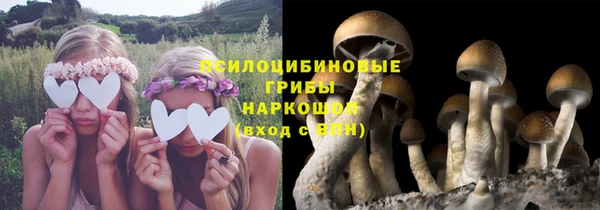 соль ск Пестово