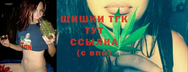 дурь Переславль-Залесский