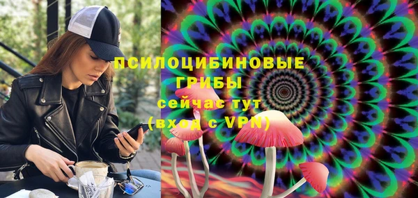 твердый Грязи