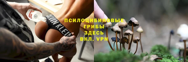 соль ск Пестово