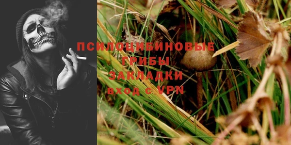 соль ск Пестово