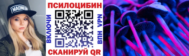 наркота  Кропоткин  Галлюциногенные грибы Cubensis 