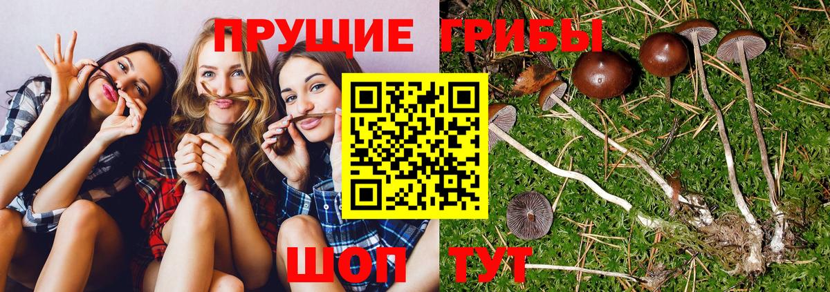 Псилоцибиновые грибы ЛСД  Галлюциногенные грибы мицелий  Кропоткин 