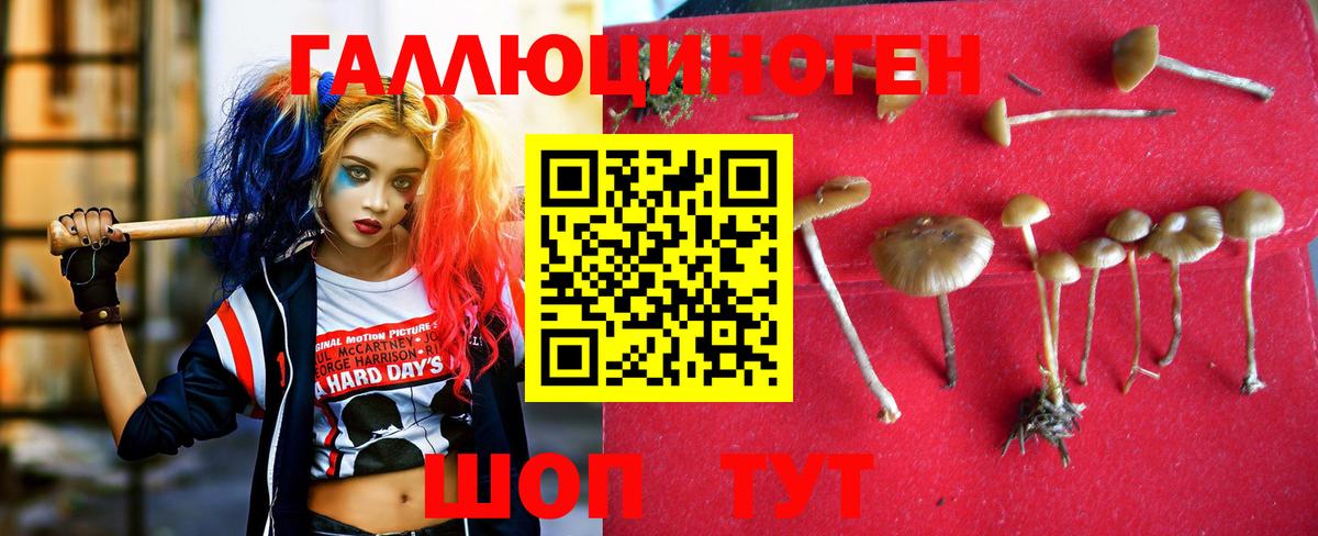 Галлюциногенные грибы прущие грибы Кропоткин