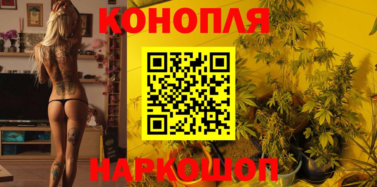 Бошки марихуана сатива  Бошки Шишки конопля  Кропоткин  Конопля LSD WEED 